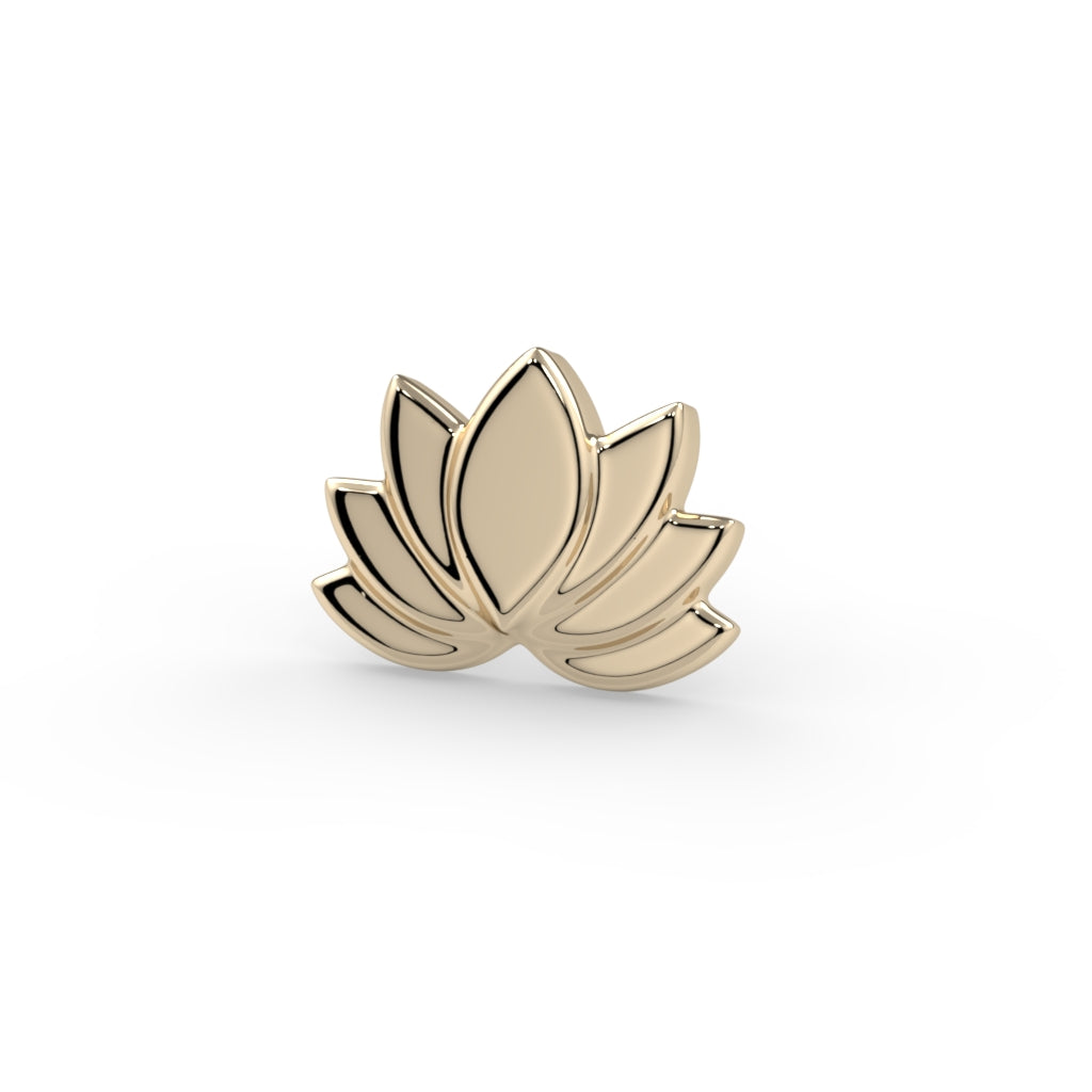Lotus Bloom