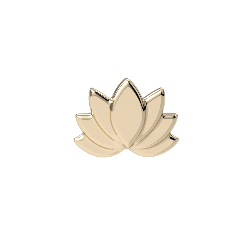 Lotus Bloom