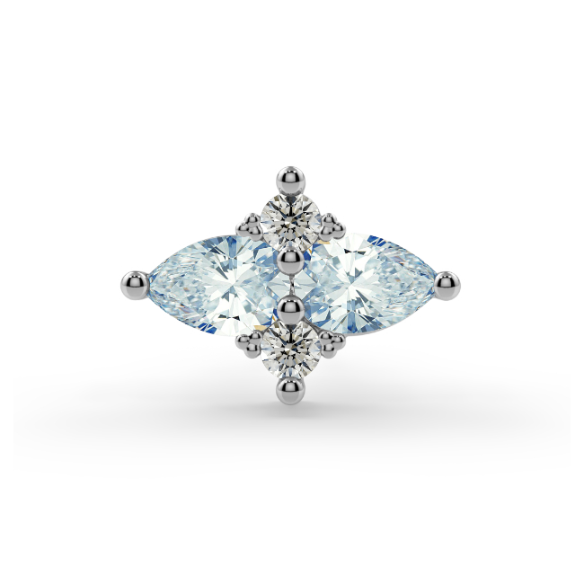 Satori Cluster End--CG31468