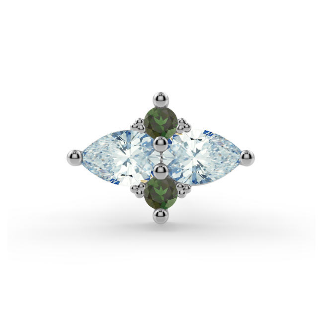 Satori Cluster End--CG31470