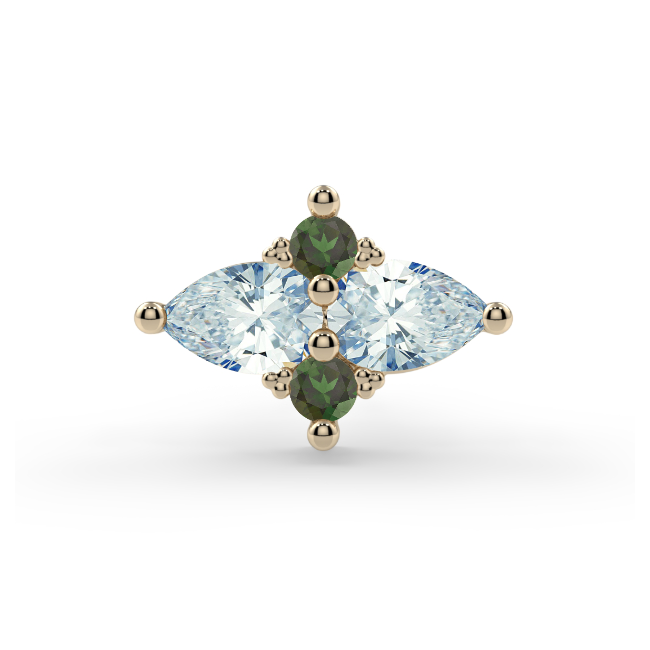 Satori Cluster End--CG31476