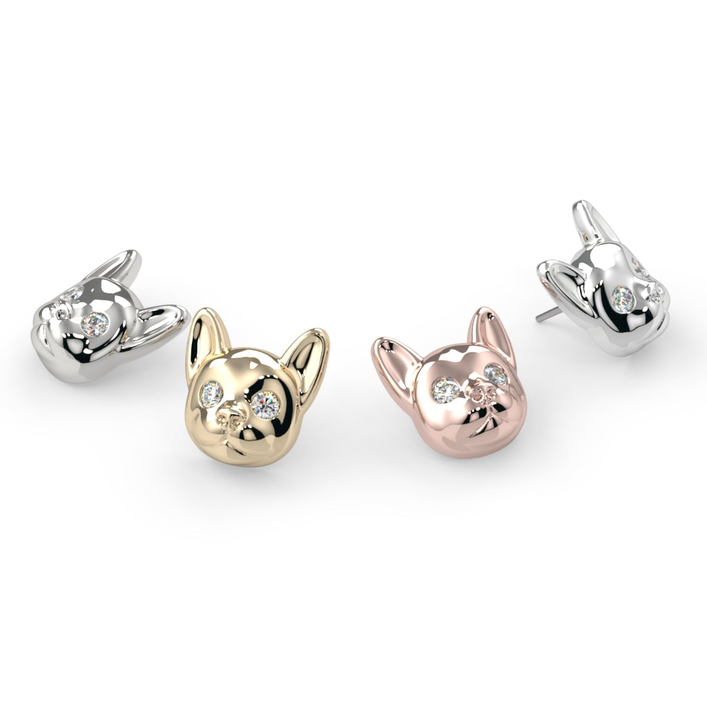 French Bulldog End
