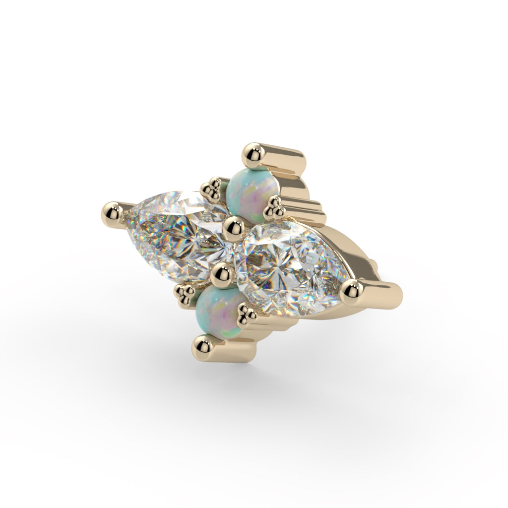 Satori Cluster End--CG29299