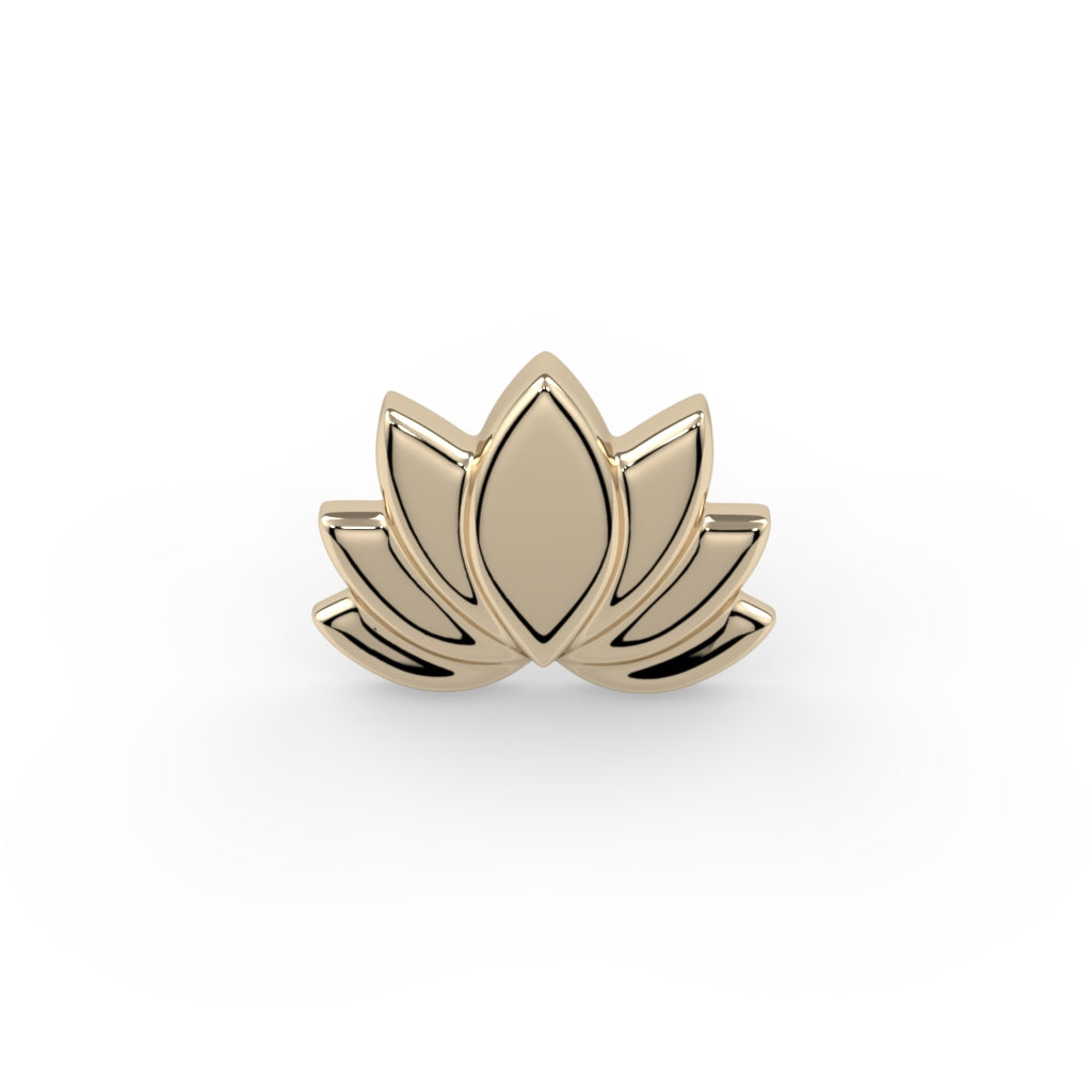 Lotus Bloom