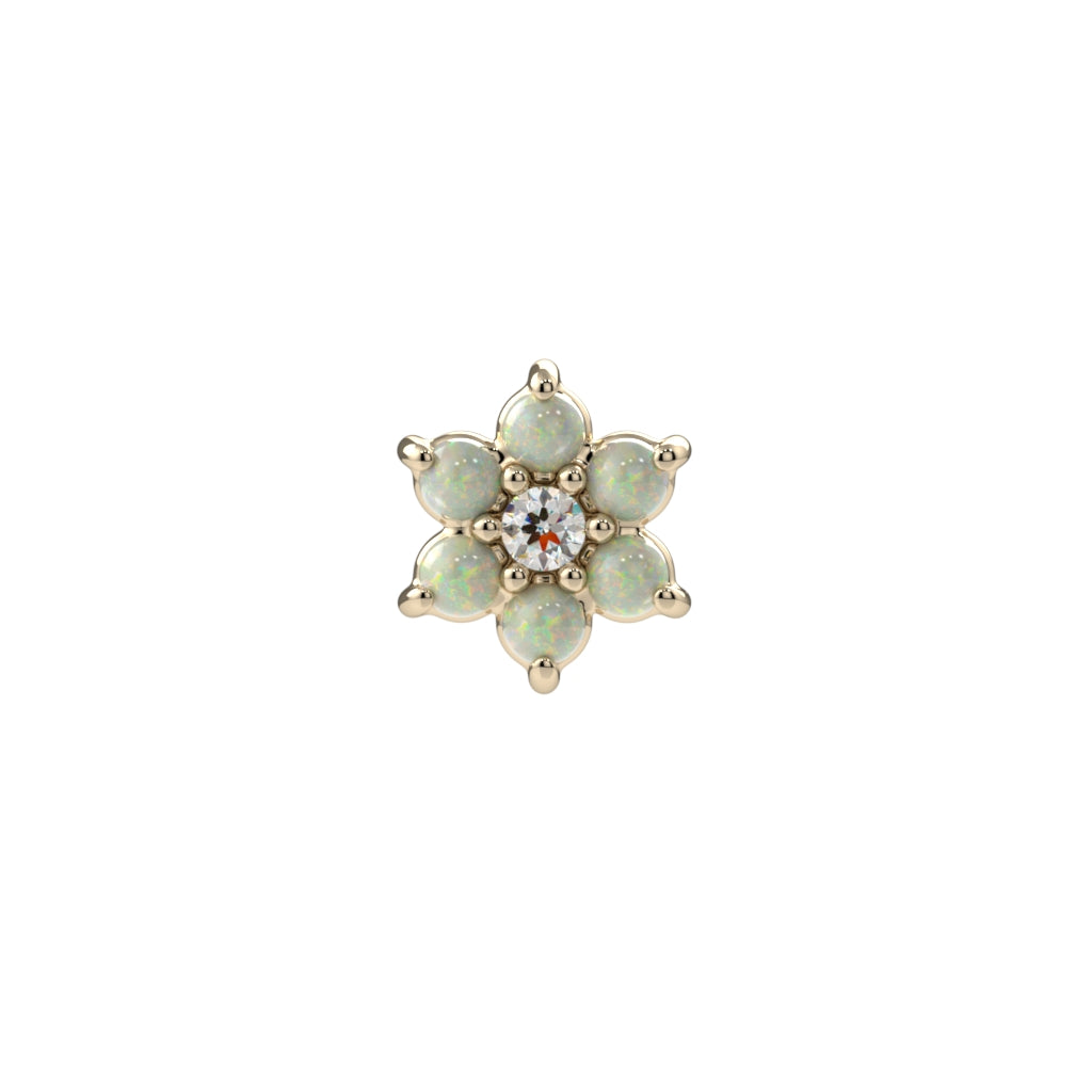 Rosette