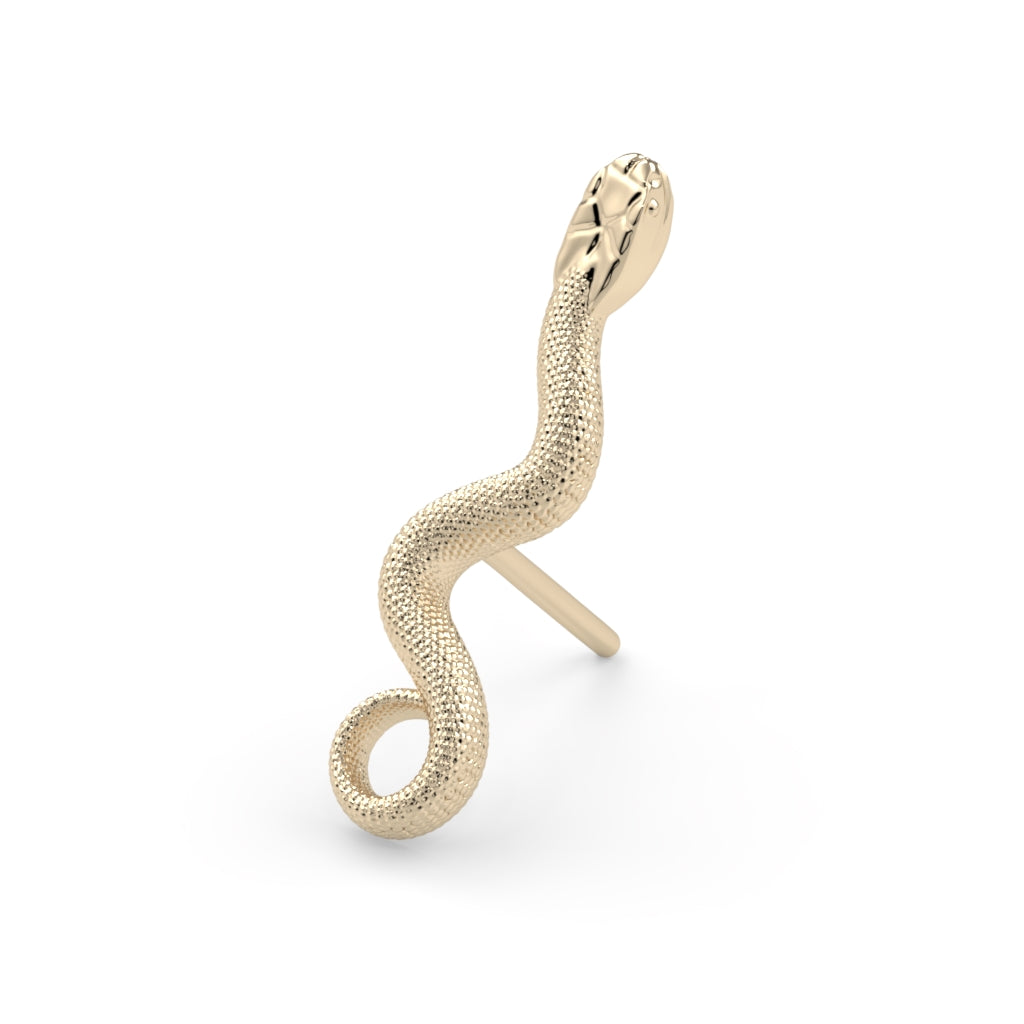 Manasa Snake End